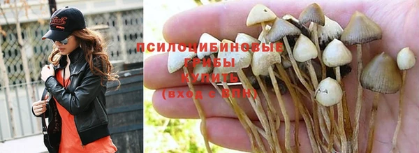 MDMA Вяземский